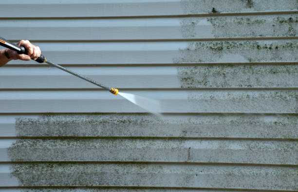 Best Dumpster Area Cleaning  in Carrollton, AL